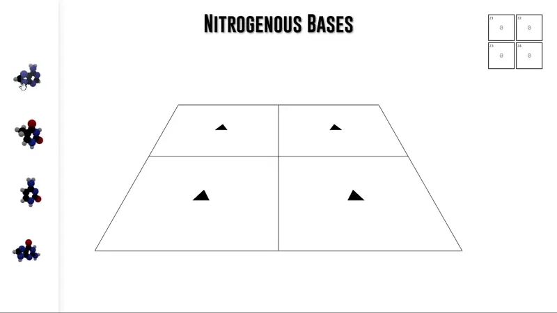 Nitrogenous Bases