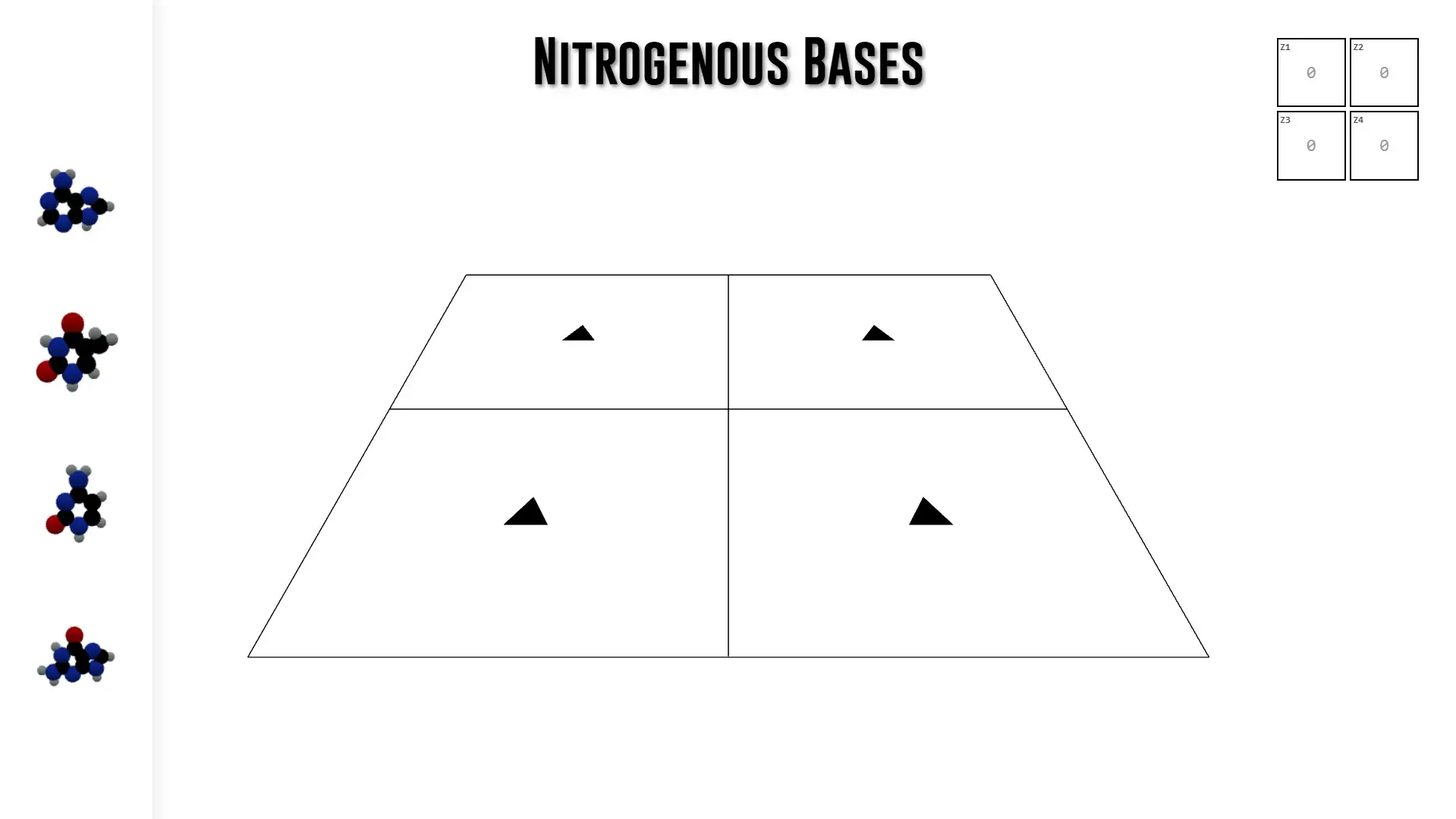Nitrogenous Bases